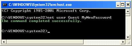 Net User Example
